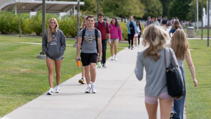 Students walking along a paved path across a green college campus on a sunny day